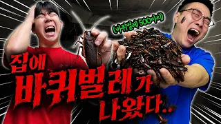 슈뻘맨 집에 바퀴벌레가 나왔습니다.. 도망쳐!!!!
