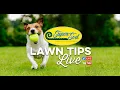May Lawn Tips Live from Super-Sod of Charlotte NC