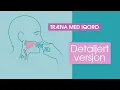 Download Lagu IQoro - Instruktioner om, hvordan man træner
