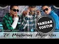 Te Pintaron Pajaritos   Yandar  &  Yostin piola