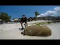 Beach Pigs - Playa Porto Marie Beach