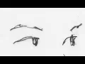 xavier omar - feelings 4 you (slowed + reverb)