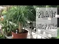 Fleet Farm Plant Shopping