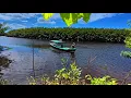 Download Lagu Lama tak mancing di sungai ini, ternyata penghuninya sudah banyak yang besar