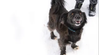 Happy Adoption Anniversary Baby Ekko AW Creates