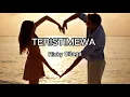 Download Lagu RISKY DILAGA - TERISTIMEWA