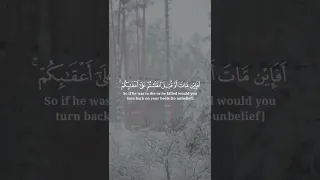 وما محمد إلا رسول قد خلت من قبله الرسل أفإن مات أو قتل انقلبتم على أعقابكم ماهر المعيقلي 