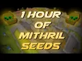 Planting Mithril Seeds Testing OSRS Wiki Money Making Methods