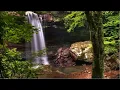 Download Lagu Surah Yunus | Sheikh Mishary Rashid Al-Afasy | Translated In English | Islam Is Our Deen | IIOD 🖤