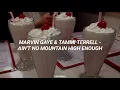 Marvin Gaye & Tammi Terrell - Ain't No Mountain High Enough (Sub. Español)