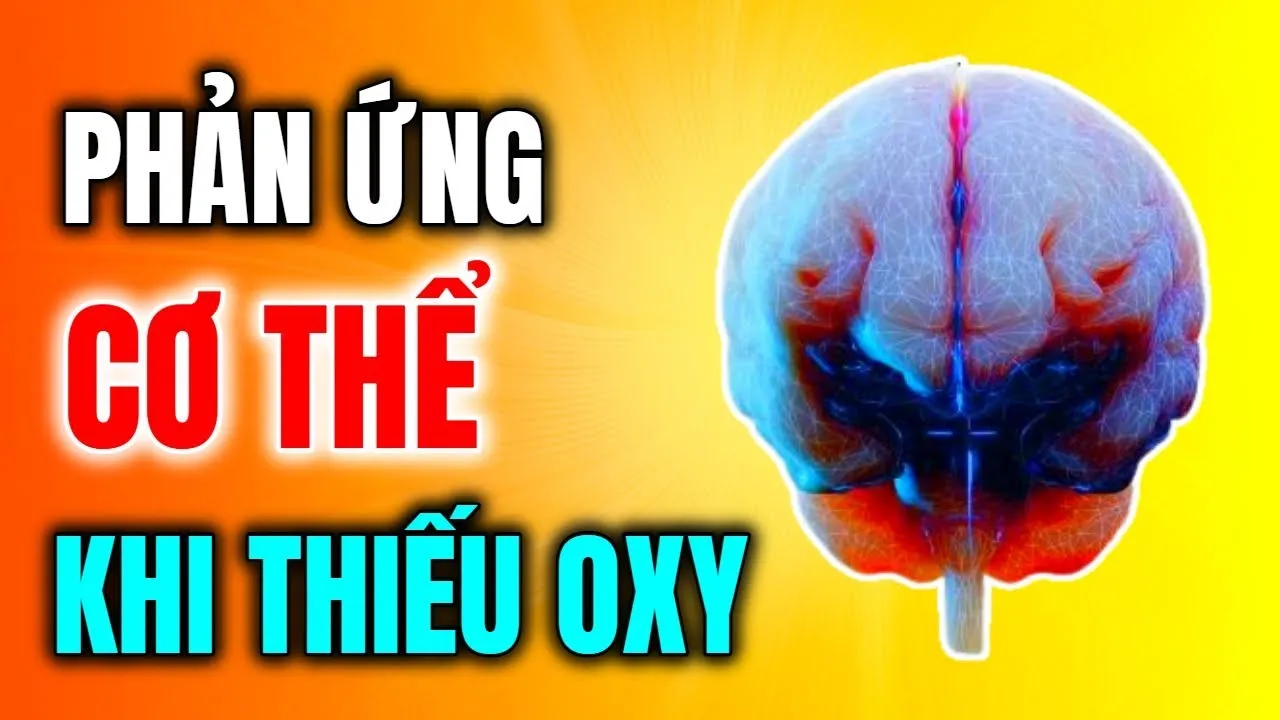 Khi Não Thiếu Oxy Cơ Thể Con Người Sẽ Như Thế Nào - Sức Khỏe Tràn Đầy