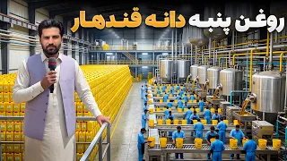 گزارش ویژه احسان همراز از بزرگترین فابریکه پروسس روغن پنبه دانه در قندهار