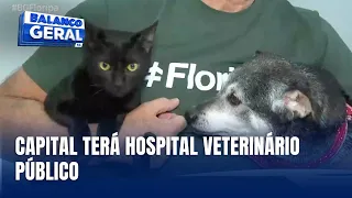 Florianópolis autoriza construção do primeiro hospital público veterinário