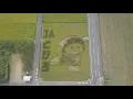 Download Lagu Japanese rice field art, Chibi Maruko-Chan/ 9,29, 2019