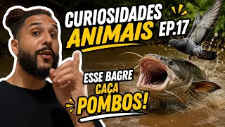 Curiosidades ANIMAIS! Ep.17 - Bagre que come POMBO