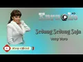 Download Lagu Karaoke Vety Vera - Sedang Sedang Saja