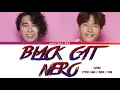 Download Lagu TURBO - Black Cat Nero (Color Coded Lyrics/가사 Han//Rom//Eng)
