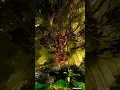 Download Lagu Forgotten worlds… 🌿 . . . . . . . . . . . .  #cinema4d #c4d #octane #otoy #3dsmax #vray #unrealengin