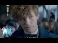 Top 10 Eddie Redmayne Performances