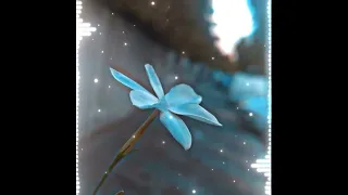 في احساس ماليني بطيء لايك اشتراك ستوريات حالات واتس Shorts 