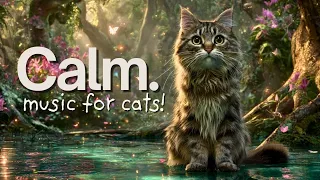 Cat Music for Sleep 💤 Relaxing & Calming Sounds for Cats