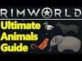 RimWorld animal guide 2023 pen guide feeding farm animals breeding hauling taming and more