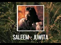Download Lagu Saleem - Juwita | lirik video | Trending | TikTok | Lagu Top