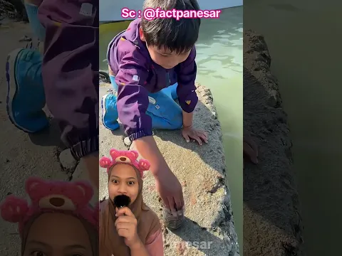 Anak Kepitingnya Terlalu Kecil untuk Dimasak! 🦀🥹 factpanesar