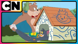 Tom And Jerry When Tom Jerry Take It Easy Kids Cartoon Cat And The Mouse Cnindia  Tom And Jerry When Tom Jerry Take It Easy Kids Cartoon Cat And The Mouse Cnindia