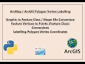 Feature Vertex Coordinates Labelling Polygon Vertices to Points Conversion