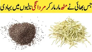 Safed Mosli And Psyllium Husk Recipe By Nizami Harbels موصلی سفید اور چھلکا اسپغول کے فوائد 