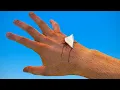 Download Lagu Healing Animations in Different Games [4K]