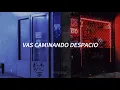 Mis Colegas | Ska-p [Letra]