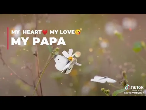 Download MP3 Meri Jami mere papa WhatsApp status / Aman yadu1c / #song #short