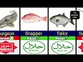 Halal And Haram Fishes In Islam Haram And Halal Fish List In Islam