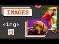 HTML-Tutorial-13 img Element Images Width Height Attributes in img as per new HTML standards