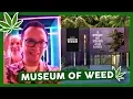 Inside the MUSEUM OF WEED by WeedMaps