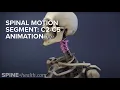 Spinal Motion Segment C2-C5 Animation