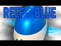 Download Lagu Reef Blue Candy ColorZ