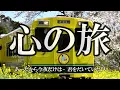 心の旅 / チューリップ (歌詞入り)