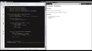 Primitive Variables