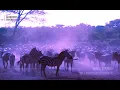 MK & Jonas Blue   Back & Forth ft  Becky Hill