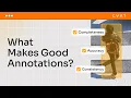 Lecture 15 What Makes a Good Annotation