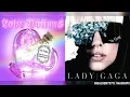 Paparazzi X Love Potions - Lady Gaga & bjlips (mashup)