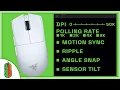 The ULTIMATE Guide To Mouse Settings