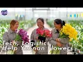 Download Lagu Smart tech, efficient logistics help Yunnan flowers blossom into new markets