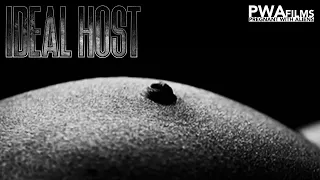 ideal host