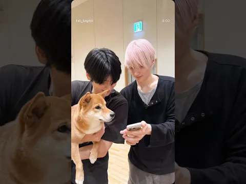 Of course, I want to be that dog.🥹 #soobin #수빈 #txt #tomorrow_x_together #txtsoobin #hueningkai