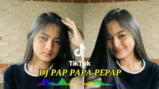 Download Terbaru tiktok dj pap papap pepap pilih mama muda MP3