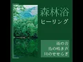 森の癒し音楽